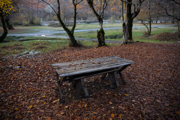 Old wooden table top with leaves falling in forest, autumn background