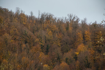Amazing view with colorful autumn forest with asphalt mountain road at sunset.