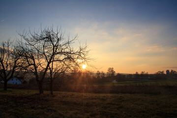 Fototapeta na wymiar Sonnenuntergang hinter Baum