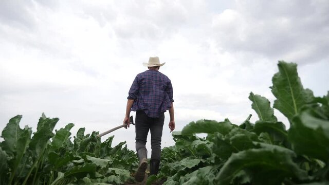 agriculture. man farmer in a rubber boots walks green field grass hoe. farmer worker goes home after harvesting working crop day agriculture. agribusiness subsistence agriculture