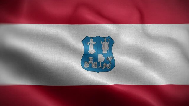 Assuncion Paraguay Flag Loop Background 4K