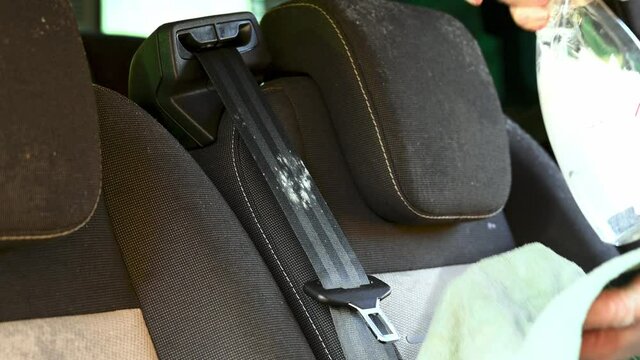 Cleaning solution is sprayed onto mold on a car seat belt that has been left unused for several months