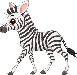 Fototapeta na wymiar Cute baby zebra isolated on white background