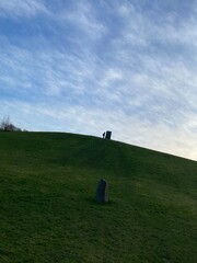 Man on the meadow