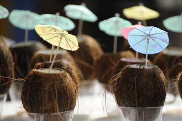 drink umbrellas coconut 