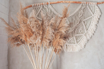 dried wild flowers in boho style in the living room © leona_44