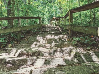 stairs in the park