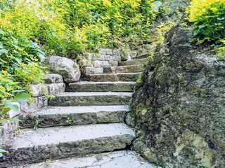 stone steps in the garden