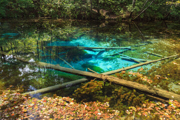 阿寒摩周国立公園　神の子池