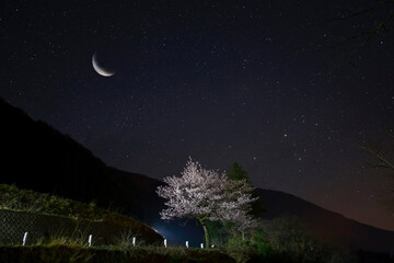 山桜と下弦の月が輝く山里