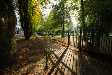 footpath in the park