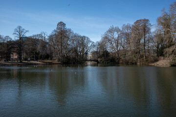 Fototapeta na wymiar Outdoor tranquil scenery of pond and lake at Hofgarten park in Düsseldorf, Germany during winter and spring season.