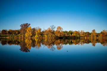 autumn trees reflected in water