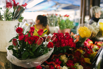 Banca de flores no mercado municipal de Aracaju, Sergipe, Brasil