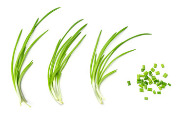 Fototapeta na wymiar Collection of young green onion isolated on white background