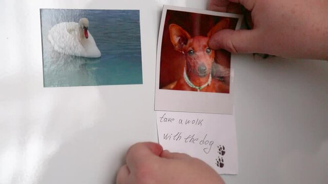 The man's hands hang a magnet with a note on the refrigerator. The inscription on the paper: Take a walk with the dog. Magnets with images of a yellow sunflower, a white swan and a dog's face.