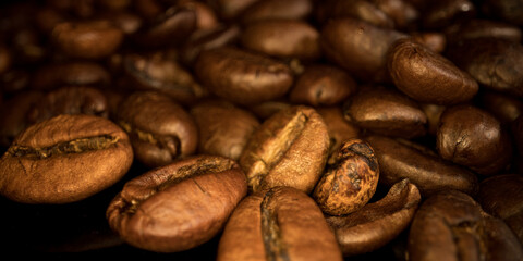 Freshly roasted Coffee Beans - sliding macro shot