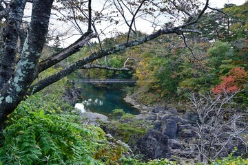 晩秋の厳美渓の紅葉情景＠一関、岩手