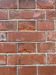 Obraz premium red brick wall
