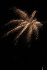 Fireworks exploding white legs of fire in a night sky in Oregon