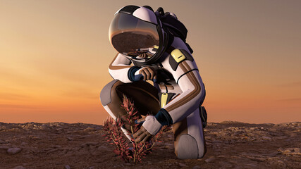 image of an plant on Mars 3D illustration