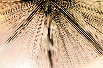 Obraz premium Colorful technology design wallpaper with rays lines and star creative composition, abstract background.