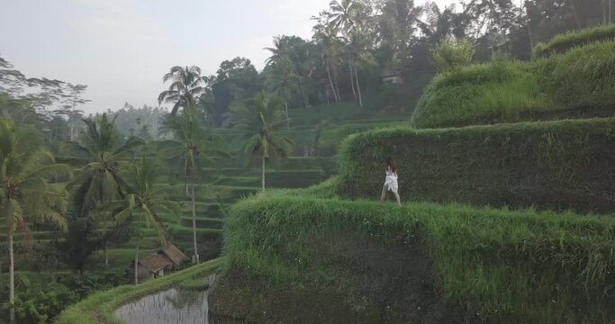 Bali Island, Indonesia. Aerial View of Female Walking on a Terrace of Rice Field in Idyllic Tropical Countryside Landscape, Drone Shot