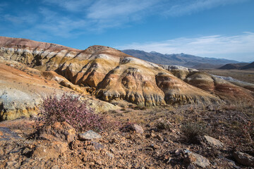 Large hills of red and yellow clay, traces of erosion, rocky surface and sparse vegetation.