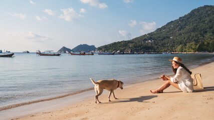 A beautiful young asian woman calling and playing with a dog on the beach