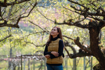 Portrait image of a beautiful young asian woman looking at an apricot flower in the park