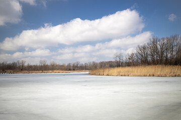 Early spring day at the marsh with the lake and ponds still frozen over, plant life coming alive.