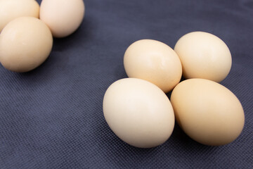 Healthy and delicious egg photography