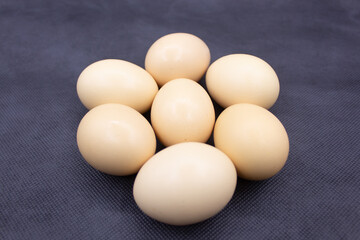 Healthy and delicious egg photography