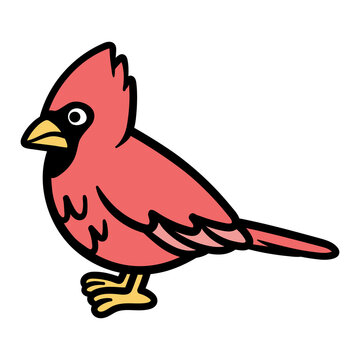 Cartoon Cardinal Bird Vector Illustration