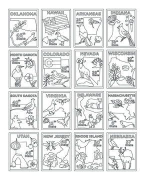 
Pack of States Hand Drawings

