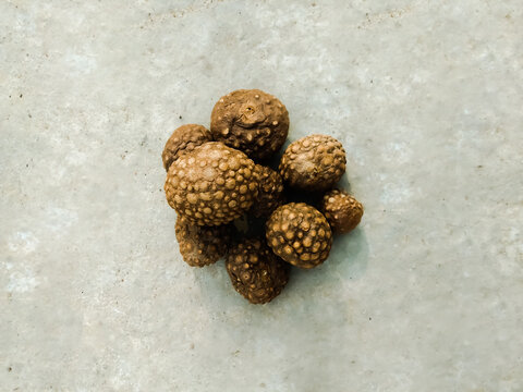 Dioscorea bulbifera (commonly known as the air potato, air yam, aerial yam, bitter yam, cheeky yam, potato yam. Thai hurb dioscorea bulbifera also known as air potato.