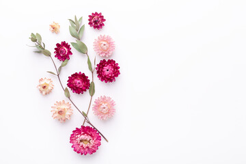 Flower composition. Eucalyptus branches and dry flowers on white background. Flat lay. Top view....