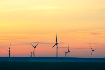 Fototapeta premium many windmills stand on a large field spinning in the evening against a sunset orange sky. Alternative Energy Concept