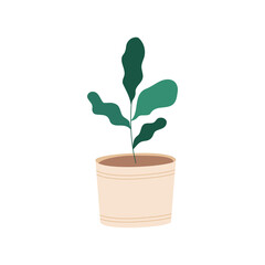 house plant in ceramic pot icon