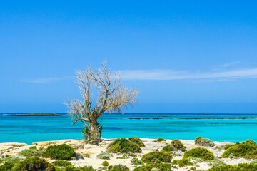 Elafonisi Pink Beach in Chania Crete Greece