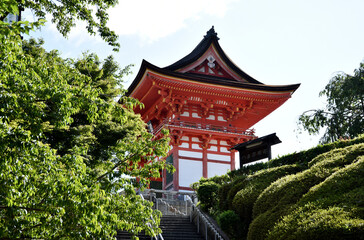 Fototapeta premium 新緑の清水寺 仁王門 京都市
