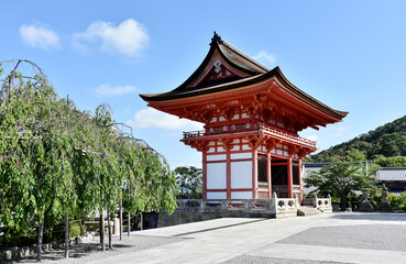Fototapeta premium 新緑の清水寺 仁王門 京都市