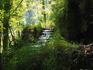 Plitvice Lakes National Park. Croatia 