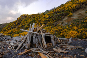 Fototapeta na wymiar Driftwood structure at Dallas Beach with spring flowers in full bloom.