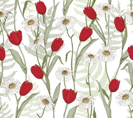 Tulips and daisies and ferns on a white background. Floral vector pattern