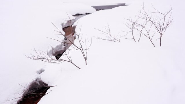 池の一部に雪が積もらずに小川のようになっている