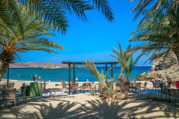 Vai Palm Beach in Lasithi Lassithi Crete Greece