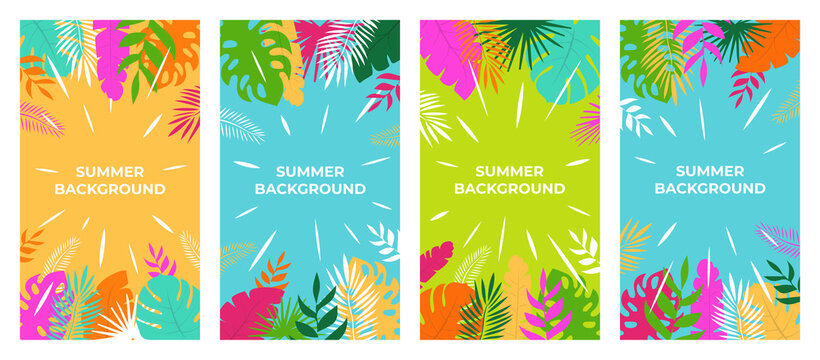 Summer background Vector summer plant design for social media stories. Summer background in flat style