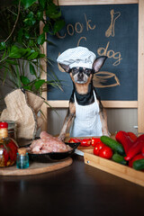 Dog in a chef's cap and apron at a table cooking  food in the kitchen. Healthy dog ​​food concept