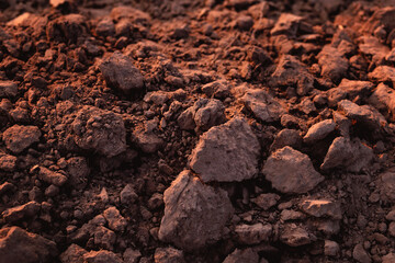 Close-up of fertile loam for the background
